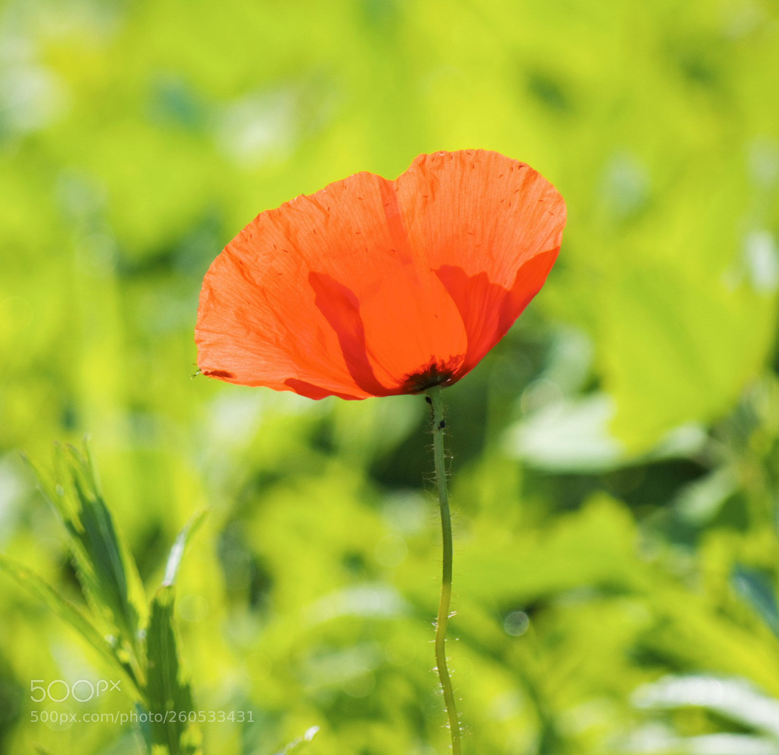 Nikon D3200 sample photo. Untitled photography