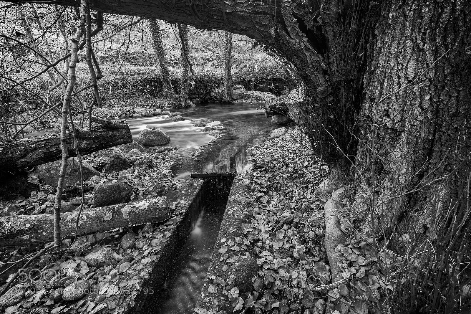 Canon EOS 6D sample photo. Garganta san gregorio  031216-9847 photography