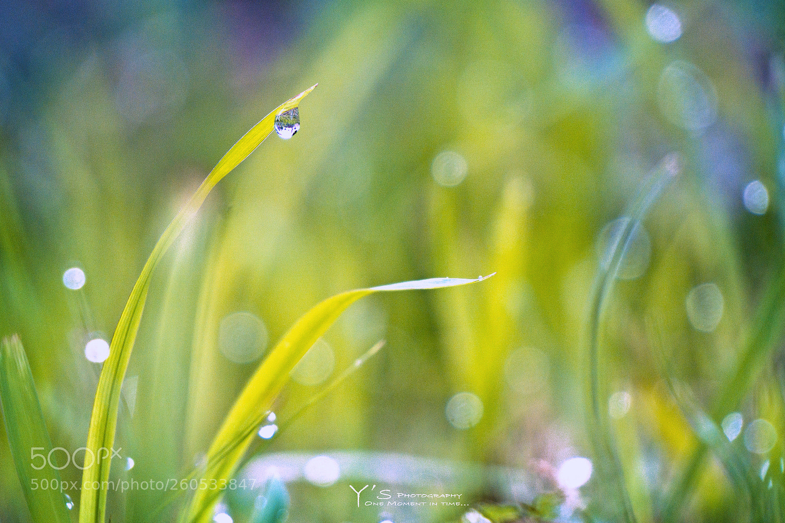 Sony a6000 sample photo. Morning light. 清晨，光。 photography