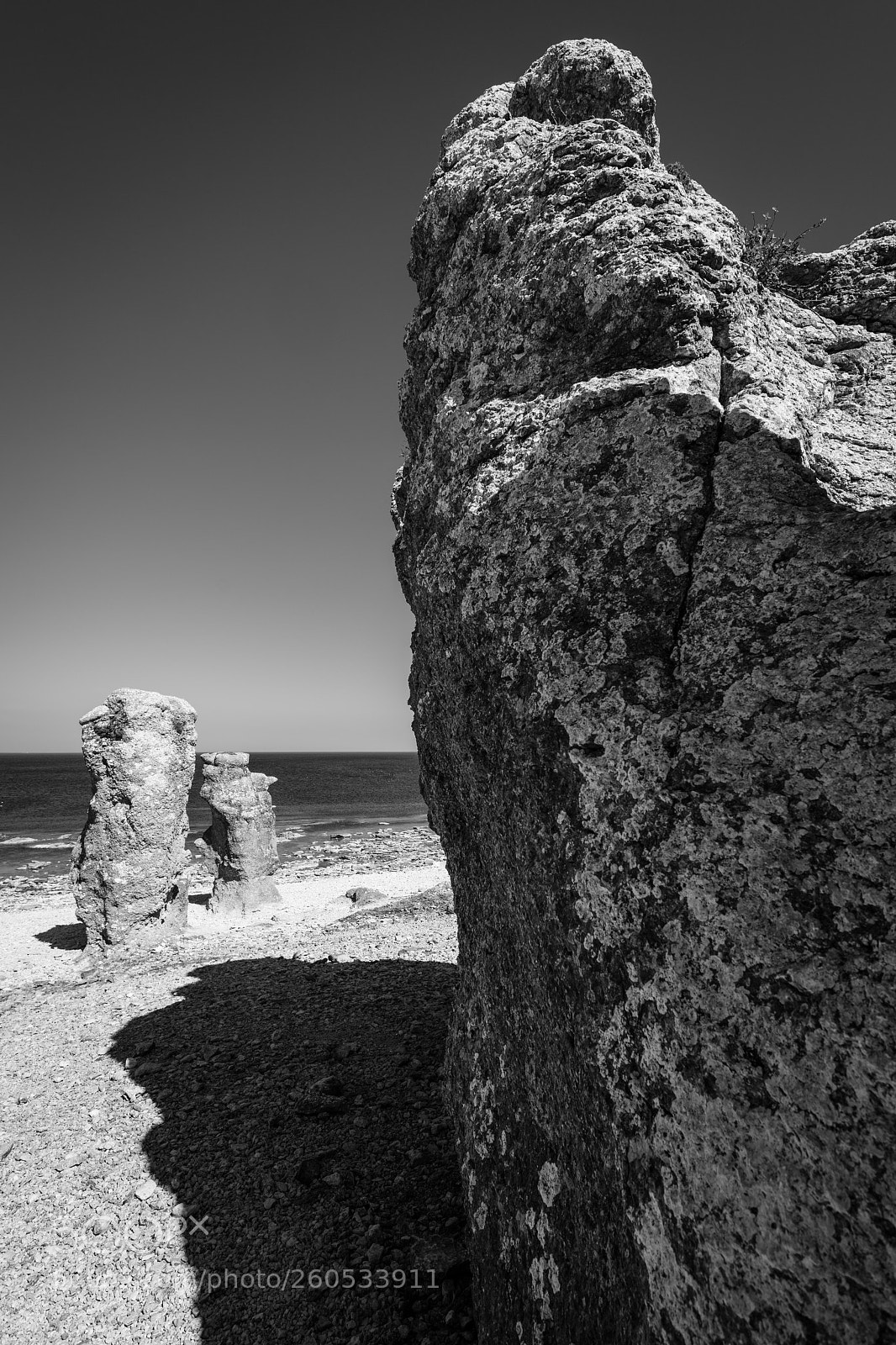 Nikon D850 sample photo. On the rocks photography