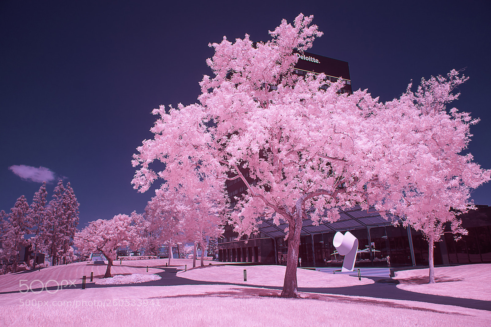 Sony a6000 sample photo. Infrared- a study photography