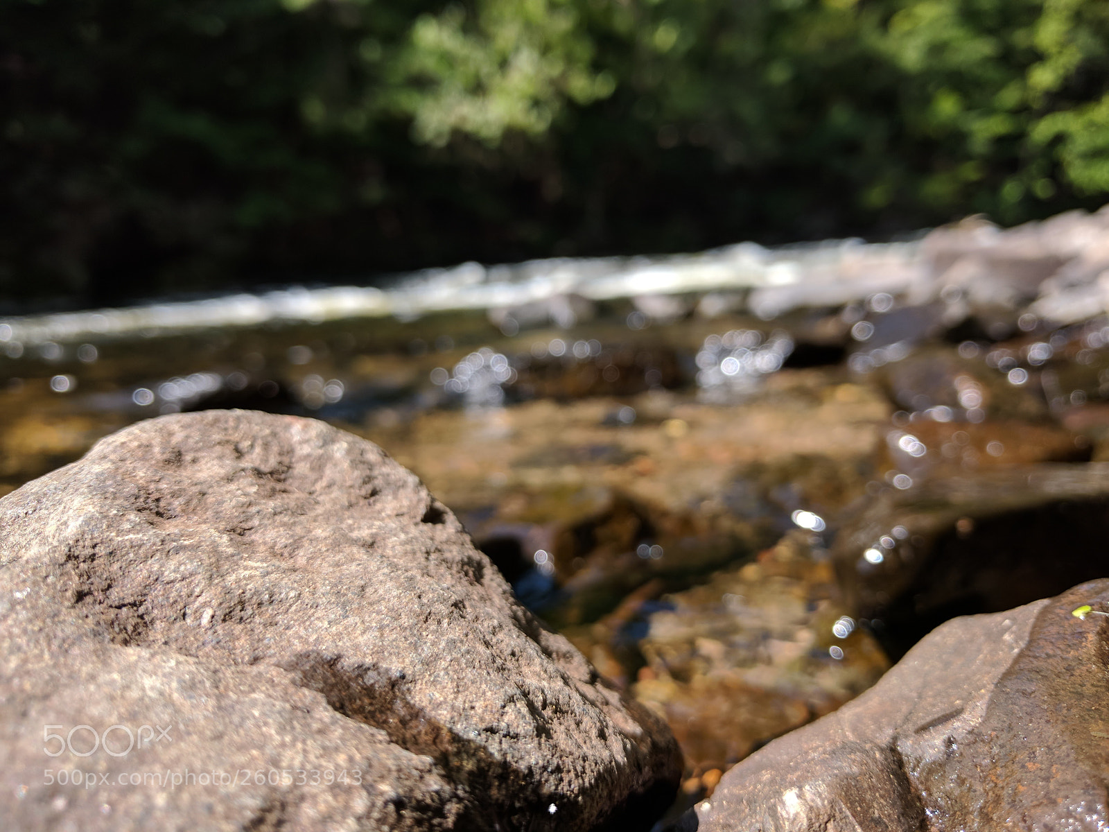 LG Nexus 5X sample photo. River photography