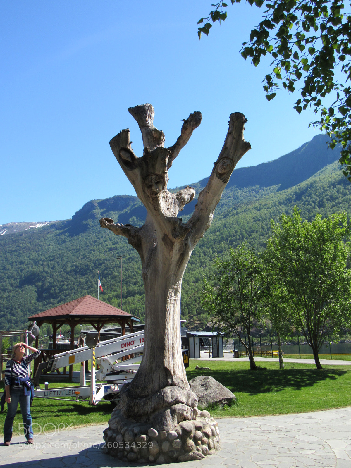 Canon PowerShot SX530 HS sample photo. Flam photography