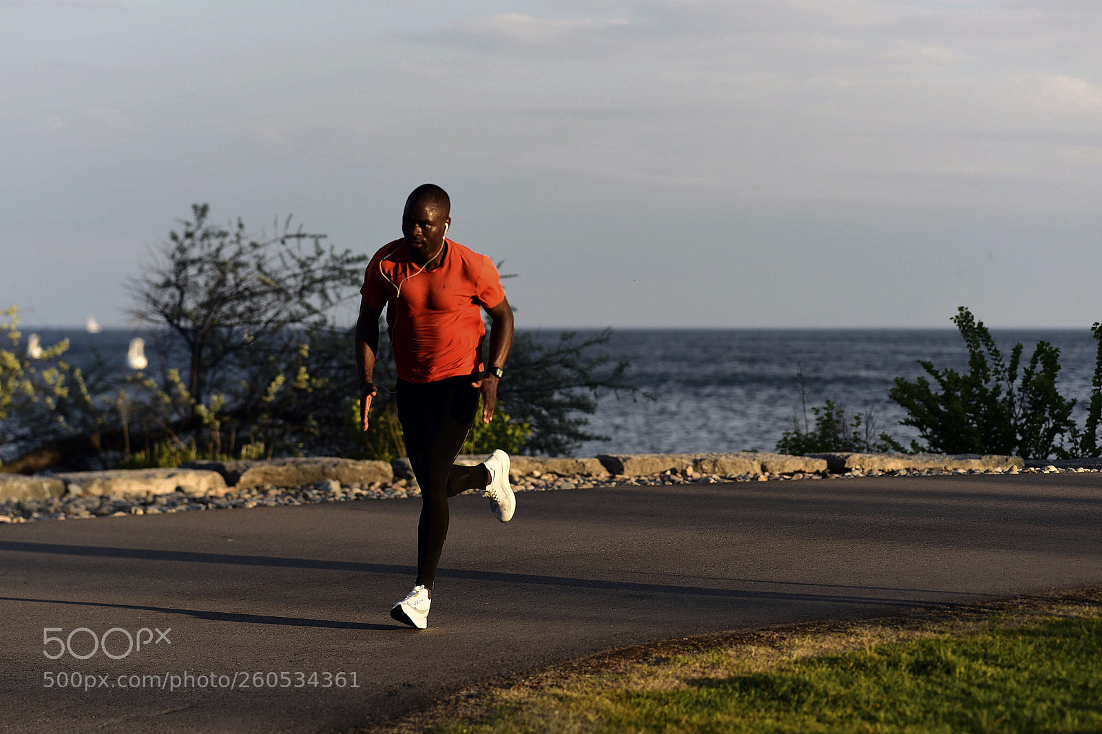 Nikon D810 sample photo. Rodrigue. photography
