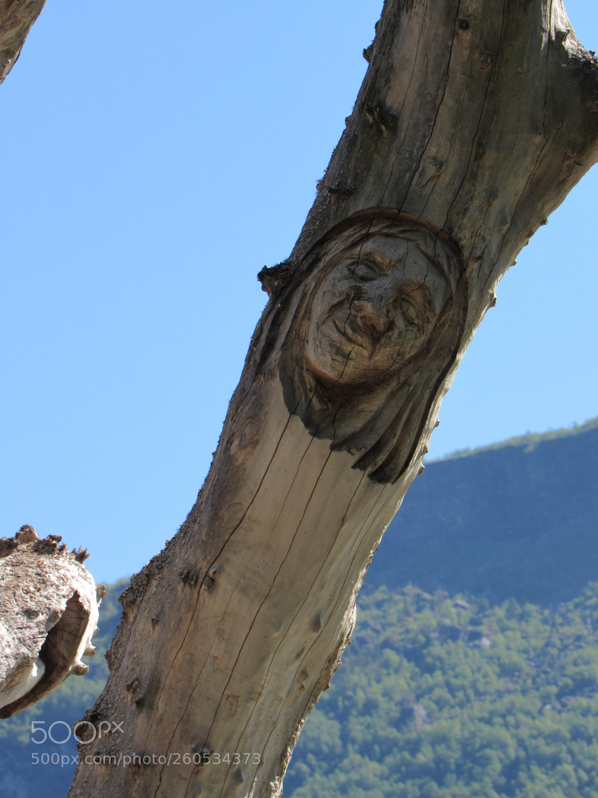 Canon PowerShot SX530 HS sample photo. Flam photography