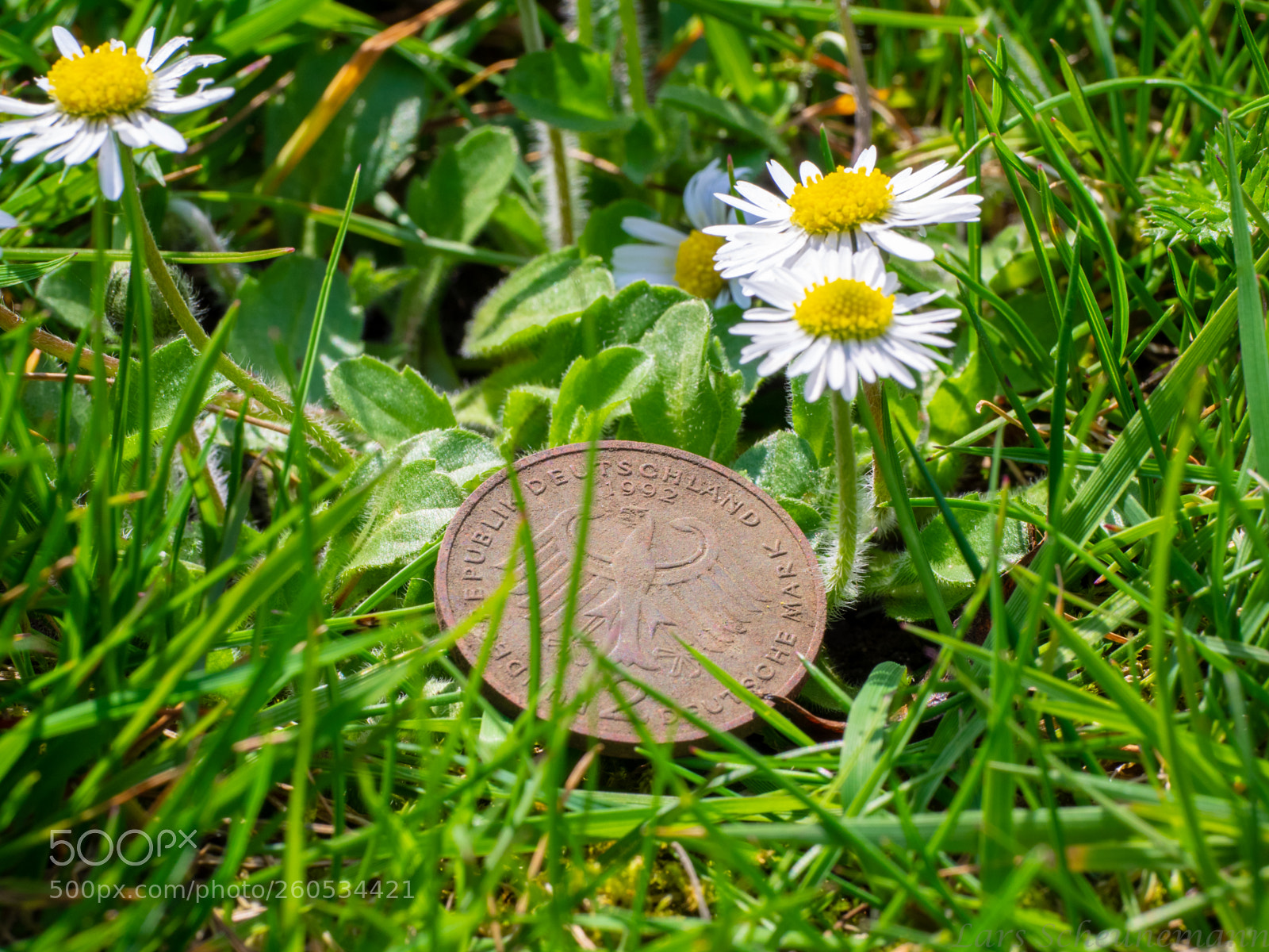 Olympus OM-D E-M1 sample photo. 2 mark photography