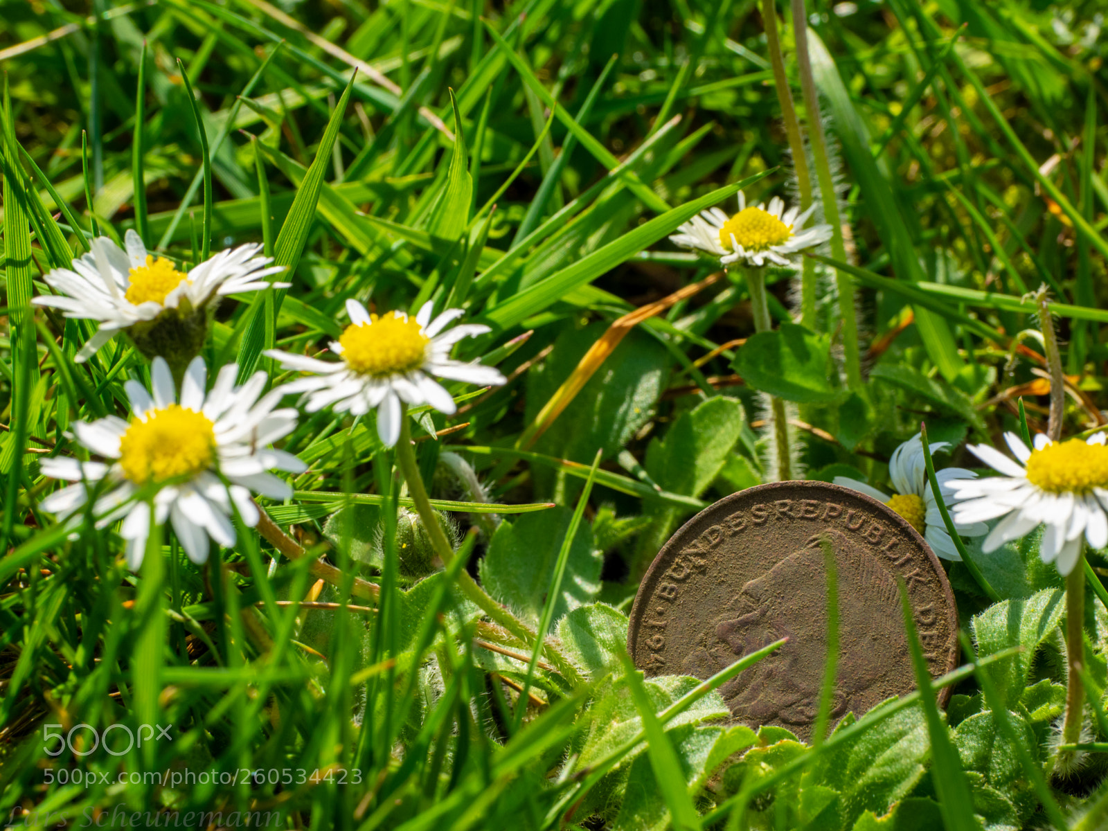 Olympus OM-D E-M1 sample photo. 2 mark j rgen photography