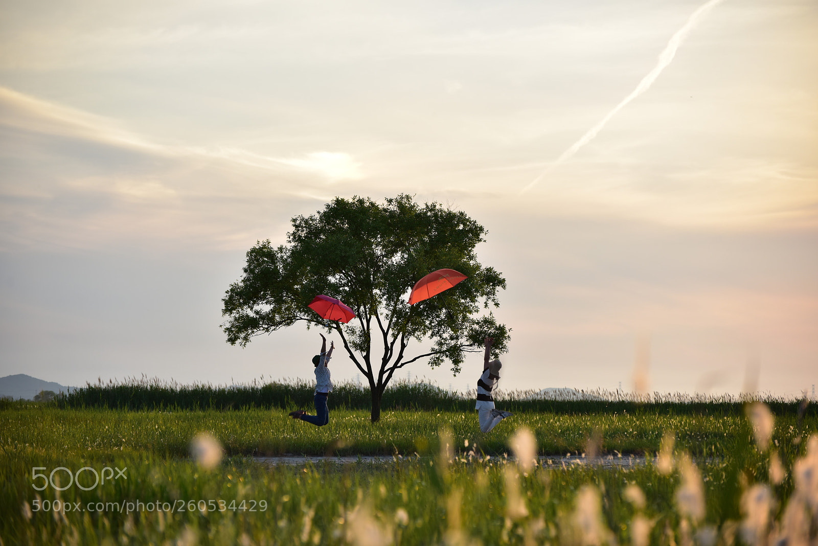 Nikon D810 sample photo. Untitled photography
