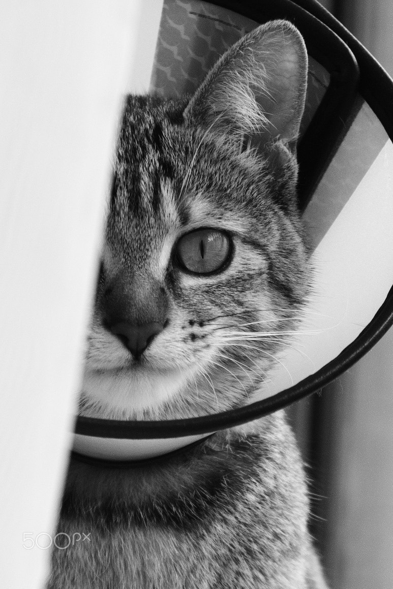 Leica M Monochrom (Typ 246) sample photo. Smile photography