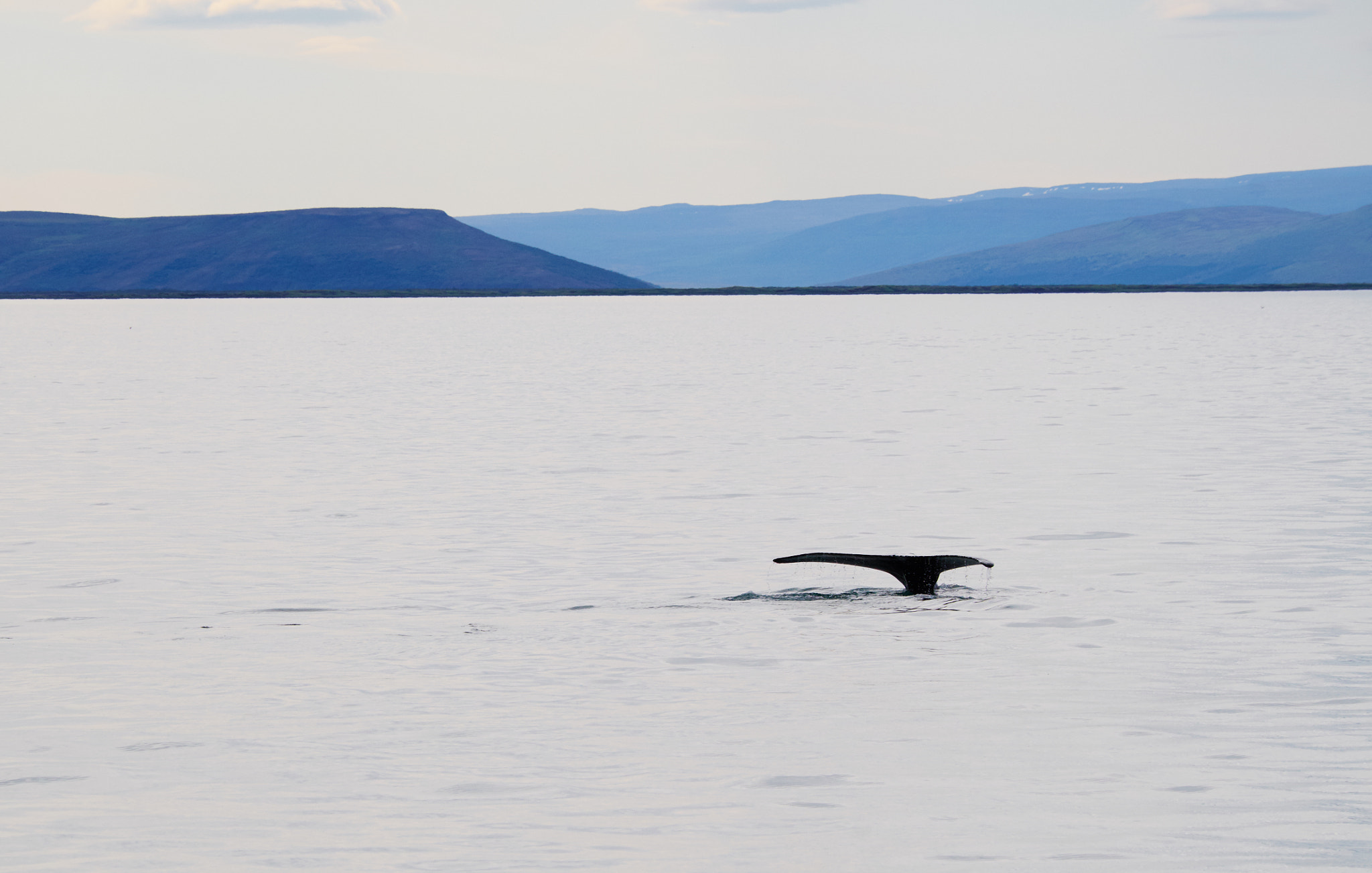 Fujifilm X-E1 sample photo. Discovering iceland photography