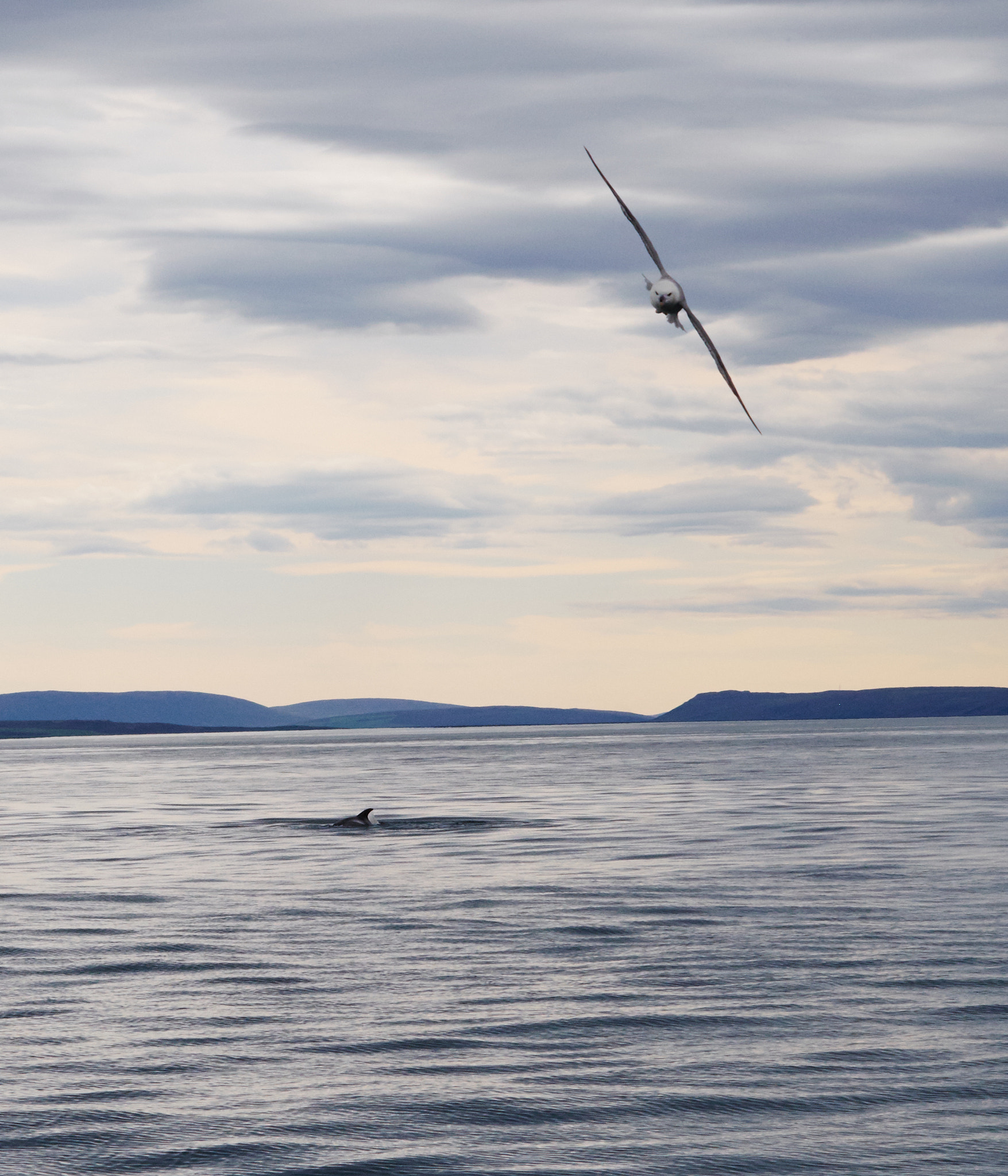 Fujifilm X-E1 sample photo. Discovering iceland photography
