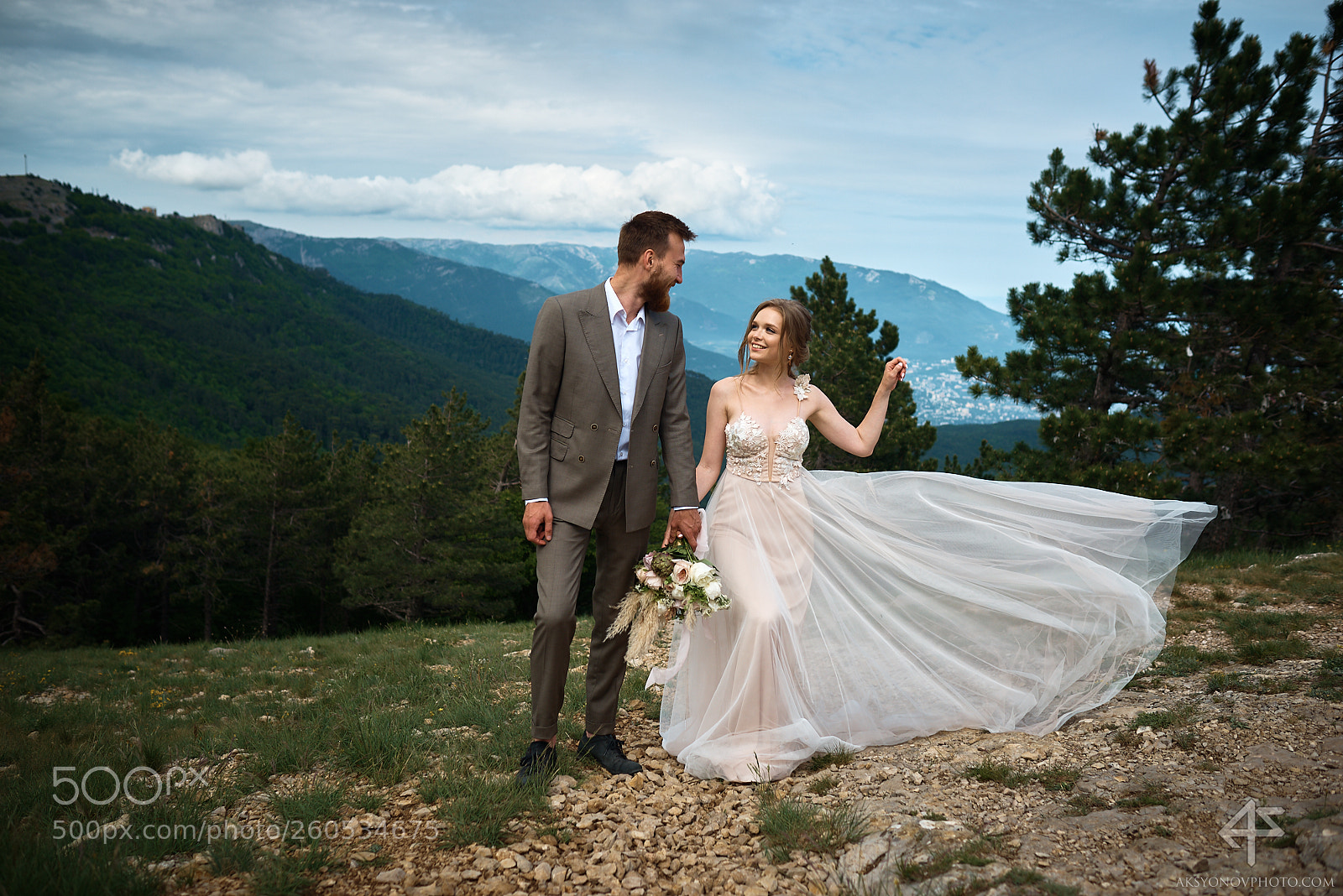 Nikon D610 sample photo. Bor photography