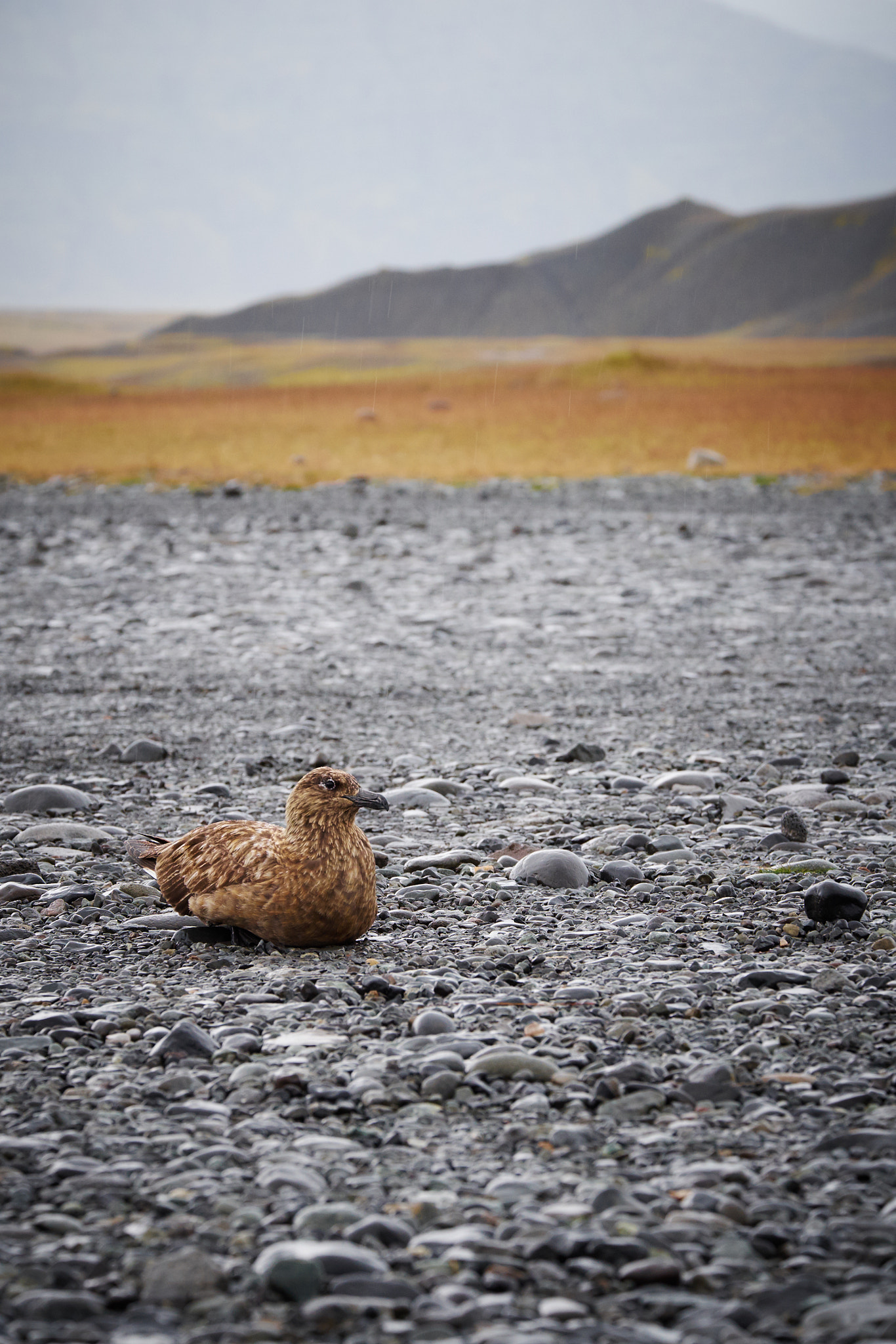 Fujifilm X-E1 sample photo. Discovering iceland photography