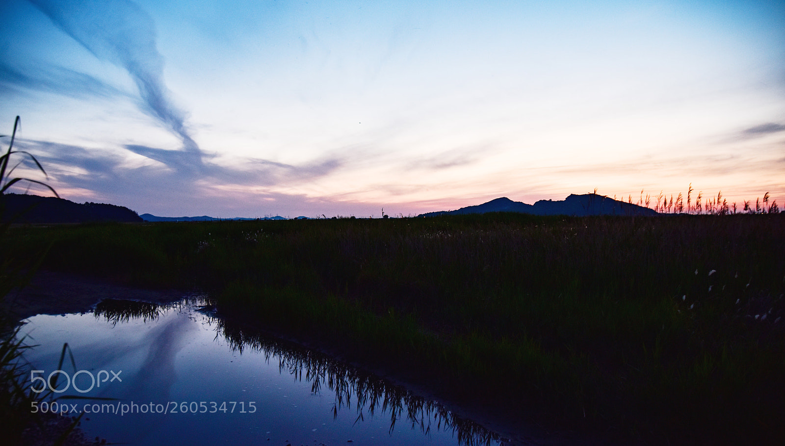 Nikon D810 sample photo. Untitled photography