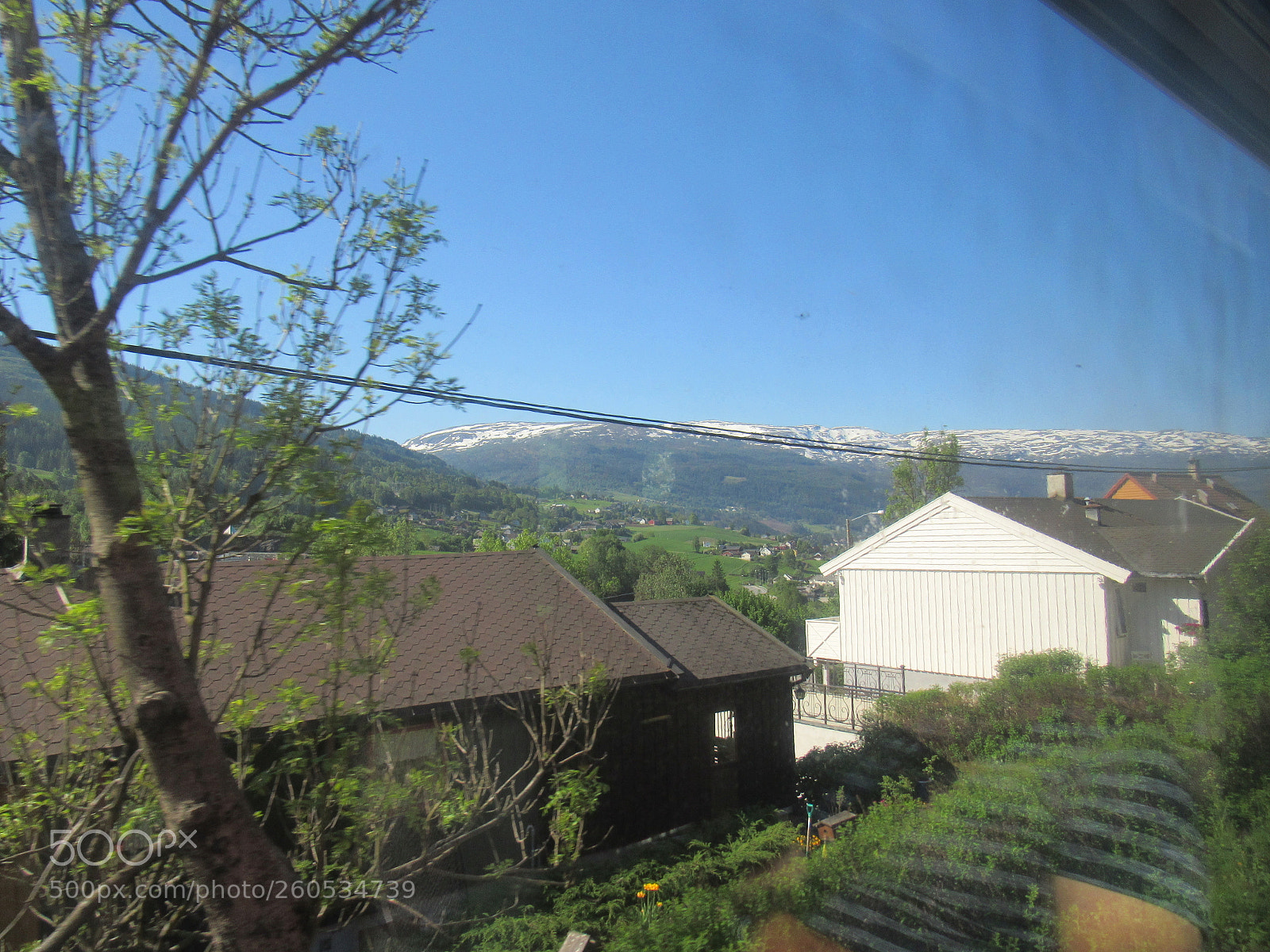 Canon PowerShot SX530 HS sample photo. Flamtrip photography