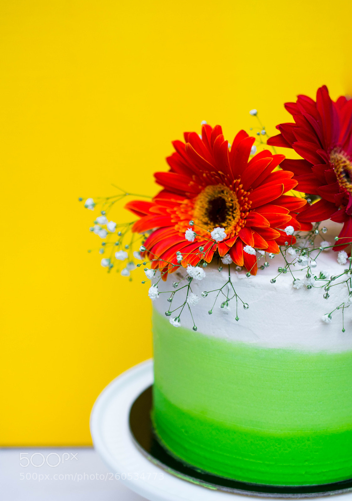 Nikon D3400 sample photo. Vibrant colours photography