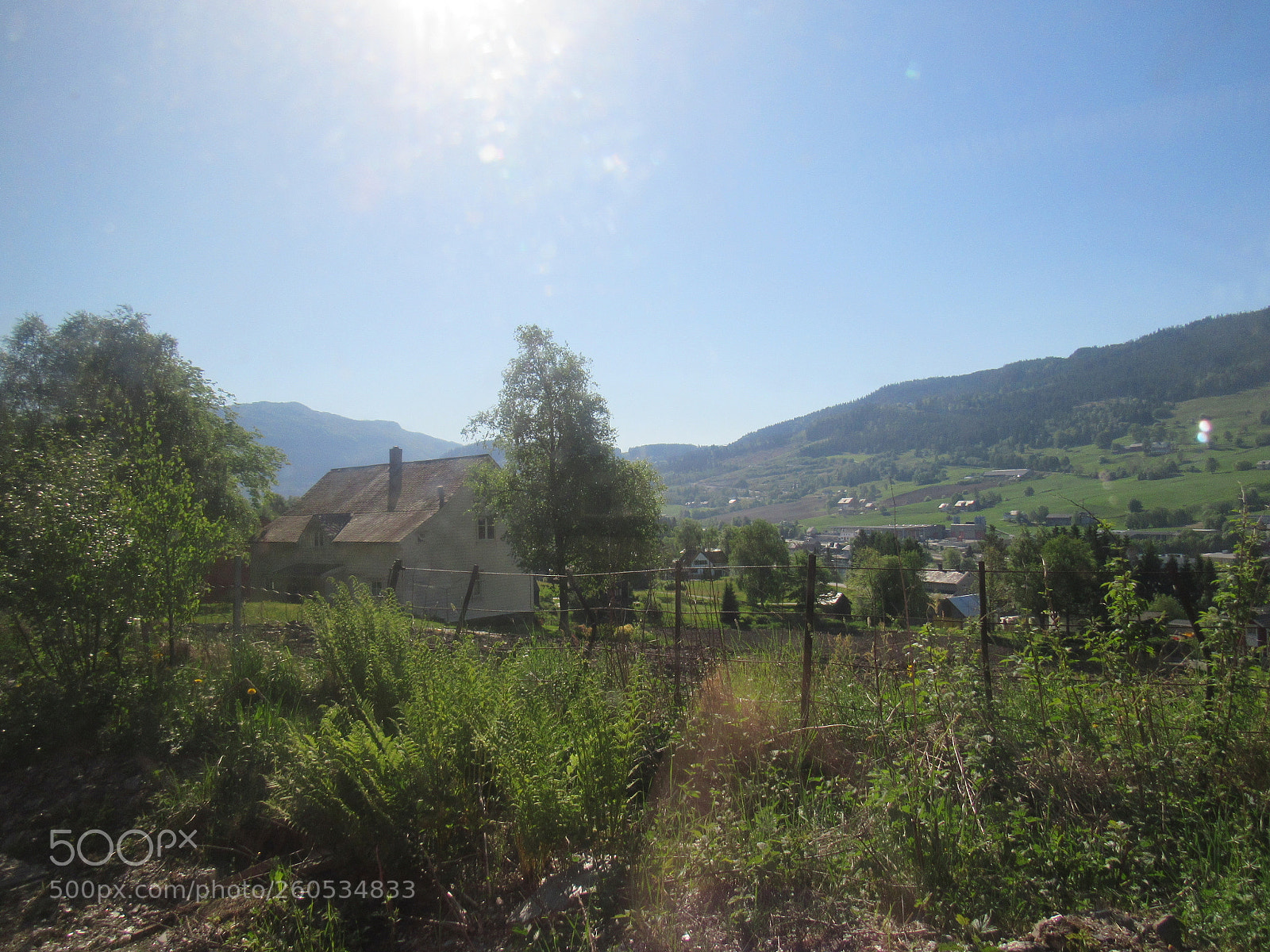 Canon PowerShot SX530 HS sample photo. Flamtrip photography