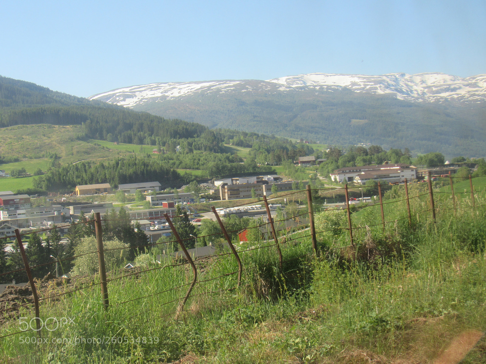 Canon PowerShot SX530 HS sample photo. Flamtrip photography