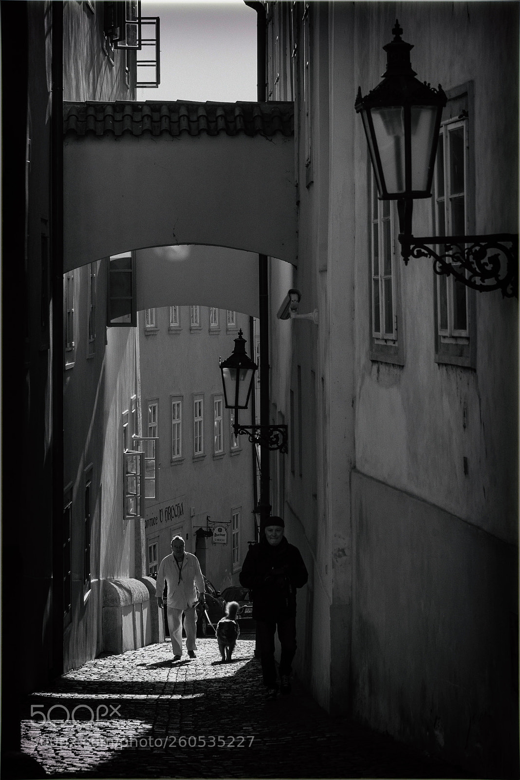 Nikon D610 sample photo. Exit from the shadow photography