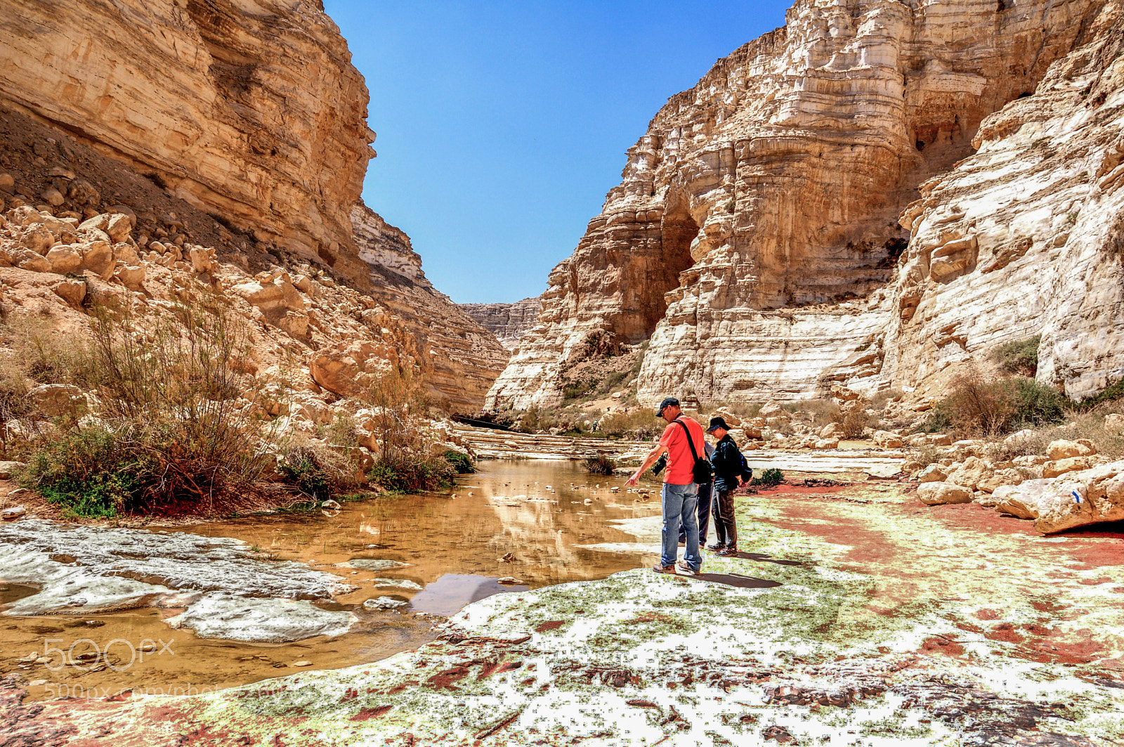 Nikon D90 sample photo. Ein avdat canyon(2) photography