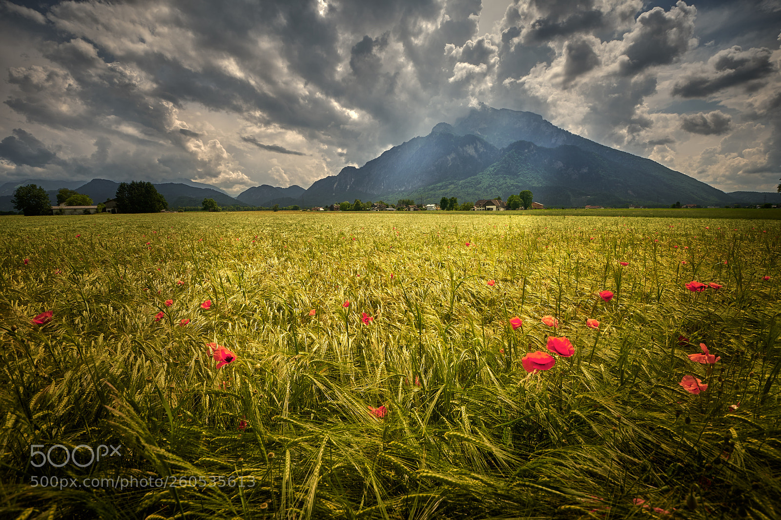 Nikon D500 sample photo. Untersberg photography
