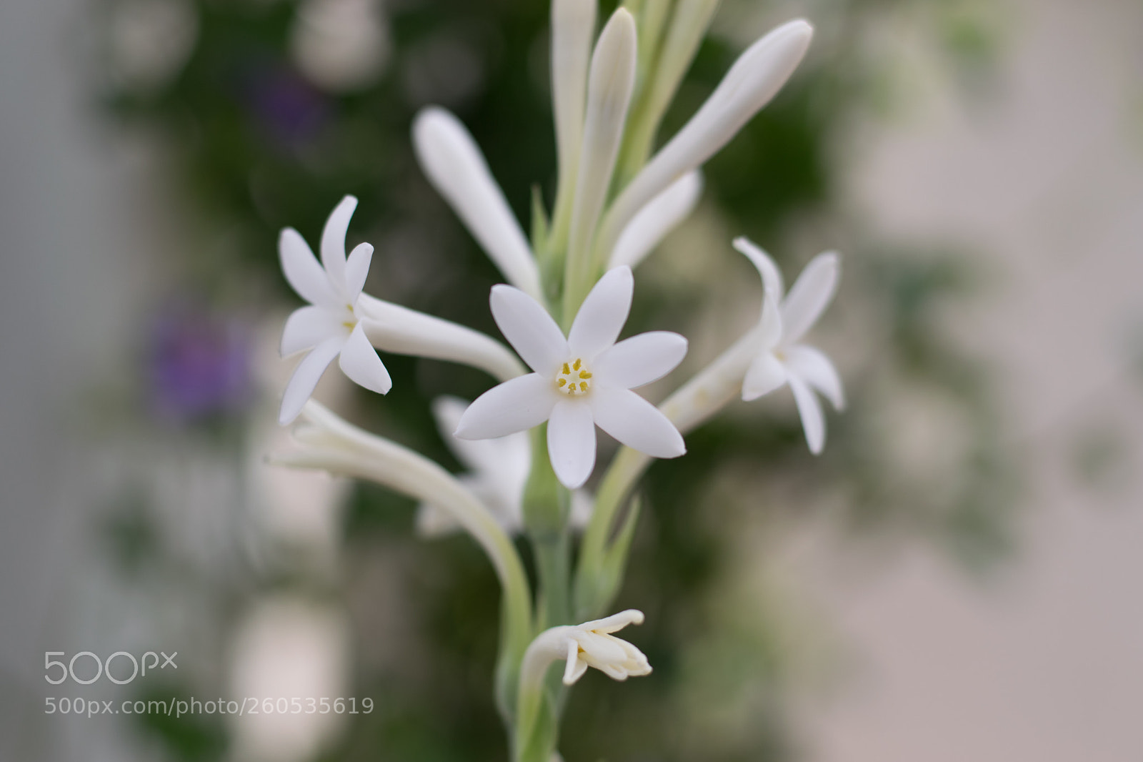 Nikon D3300 sample photo. Untitled photography
