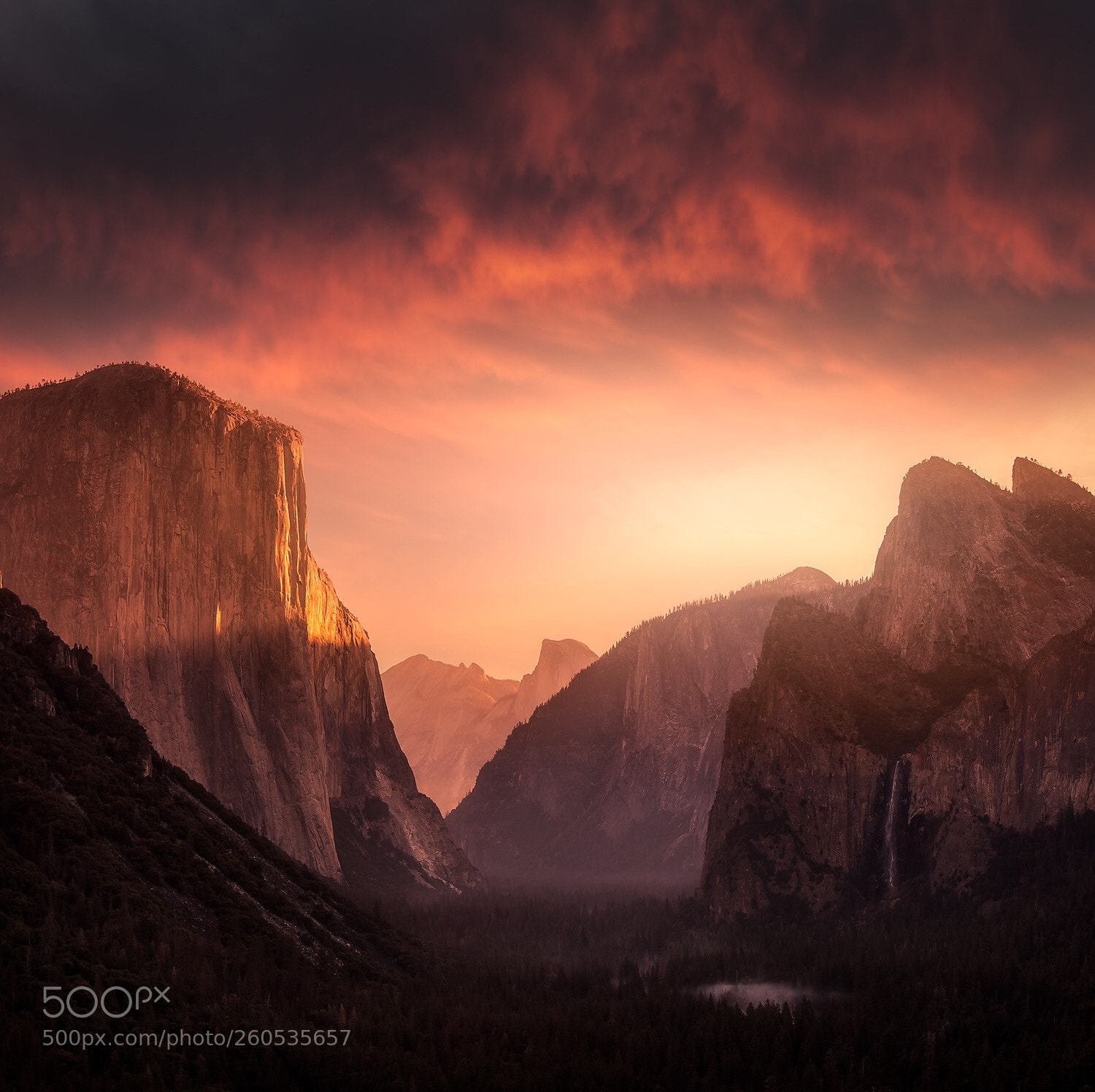 Nikon D500 sample photo. Yosemite national park  photography