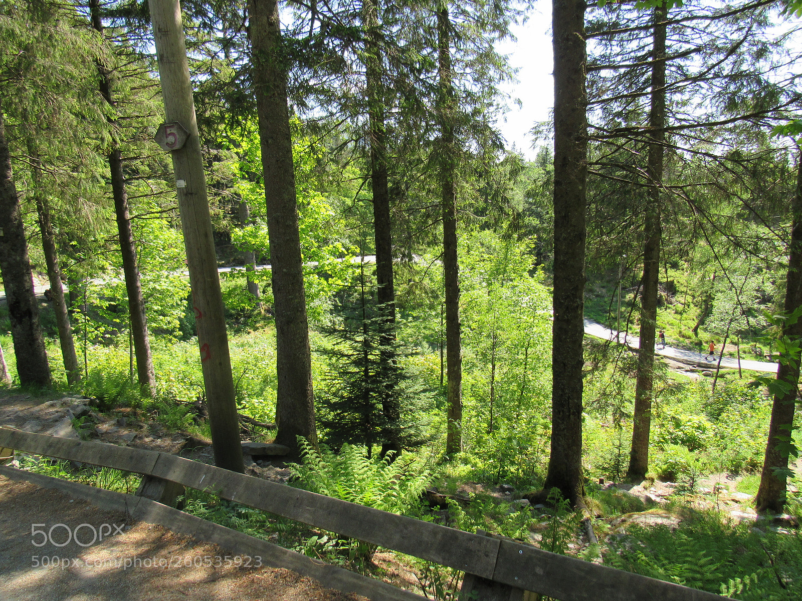 Canon PowerShot SX530 HS sample photo. Floyen photography