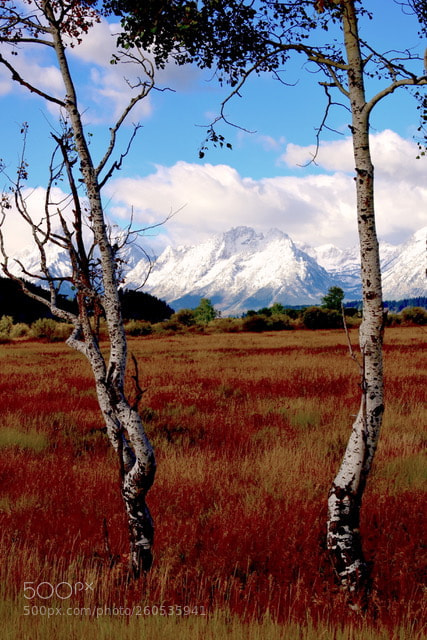 Nikon D810 sample photo. Wyoming color photography