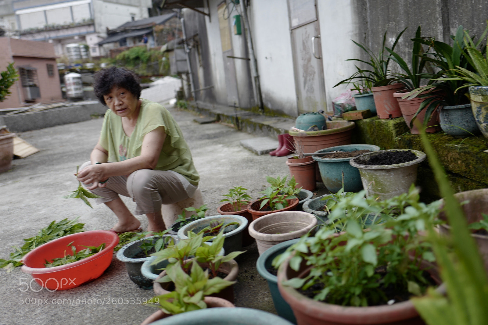 Leica Q (Typ 116) sample photo. 擇菜的阿嬤 photography