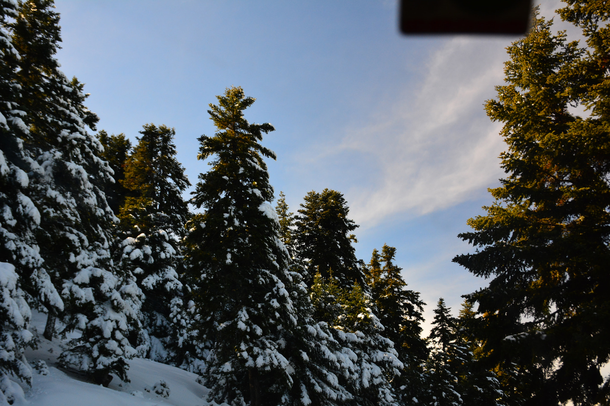 Nikon D7100 sample photo. D photography