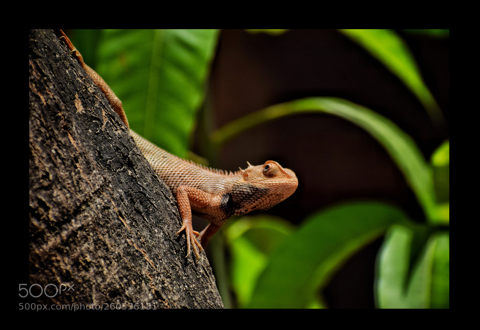 Nikon D3300 sample photo. Untitled photography