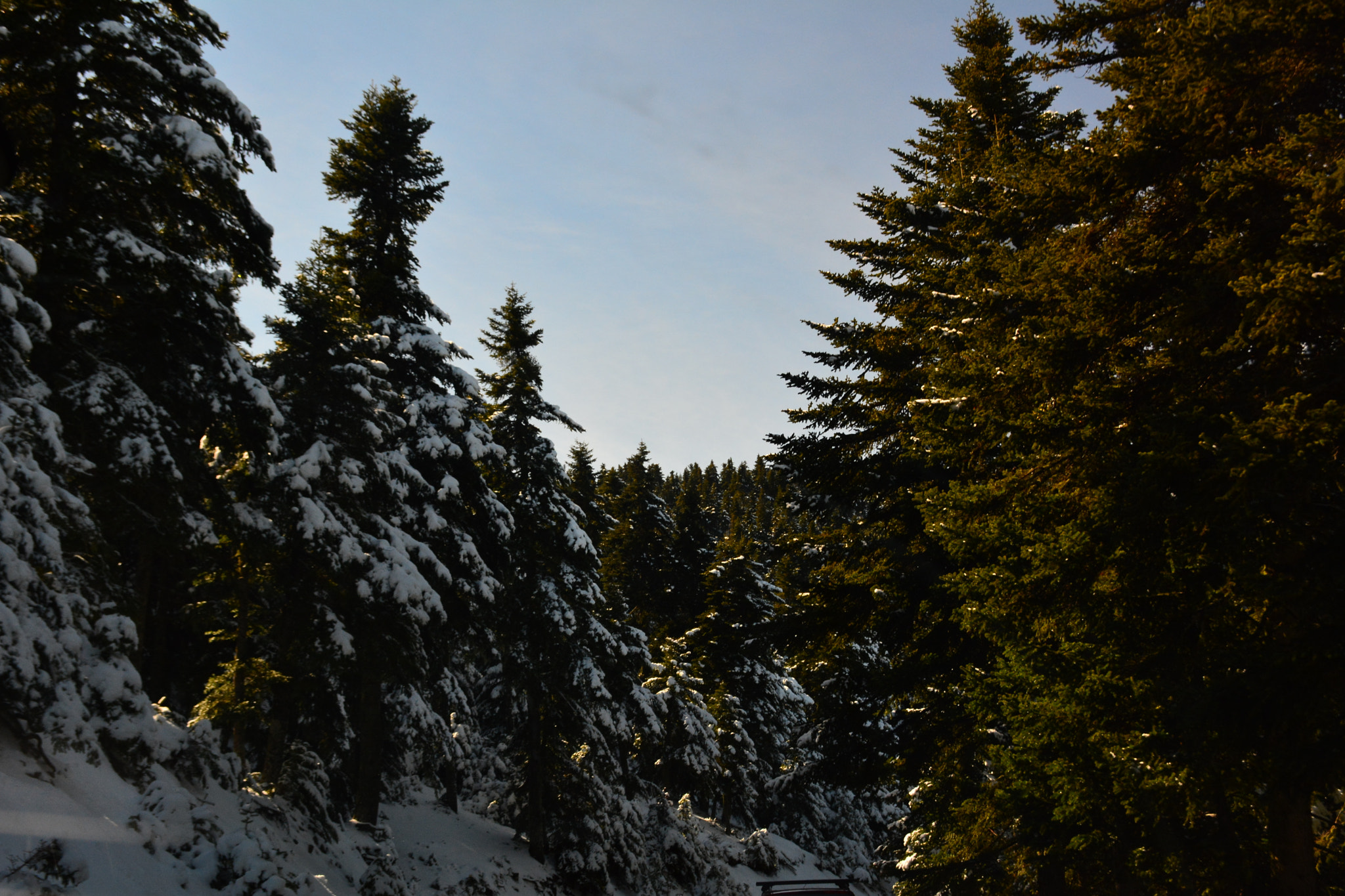 Nikon D7100 sample photo. D photography