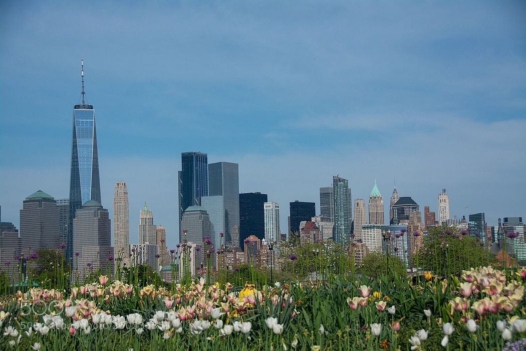 Nikon D7100 sample photo. New york city from photography
