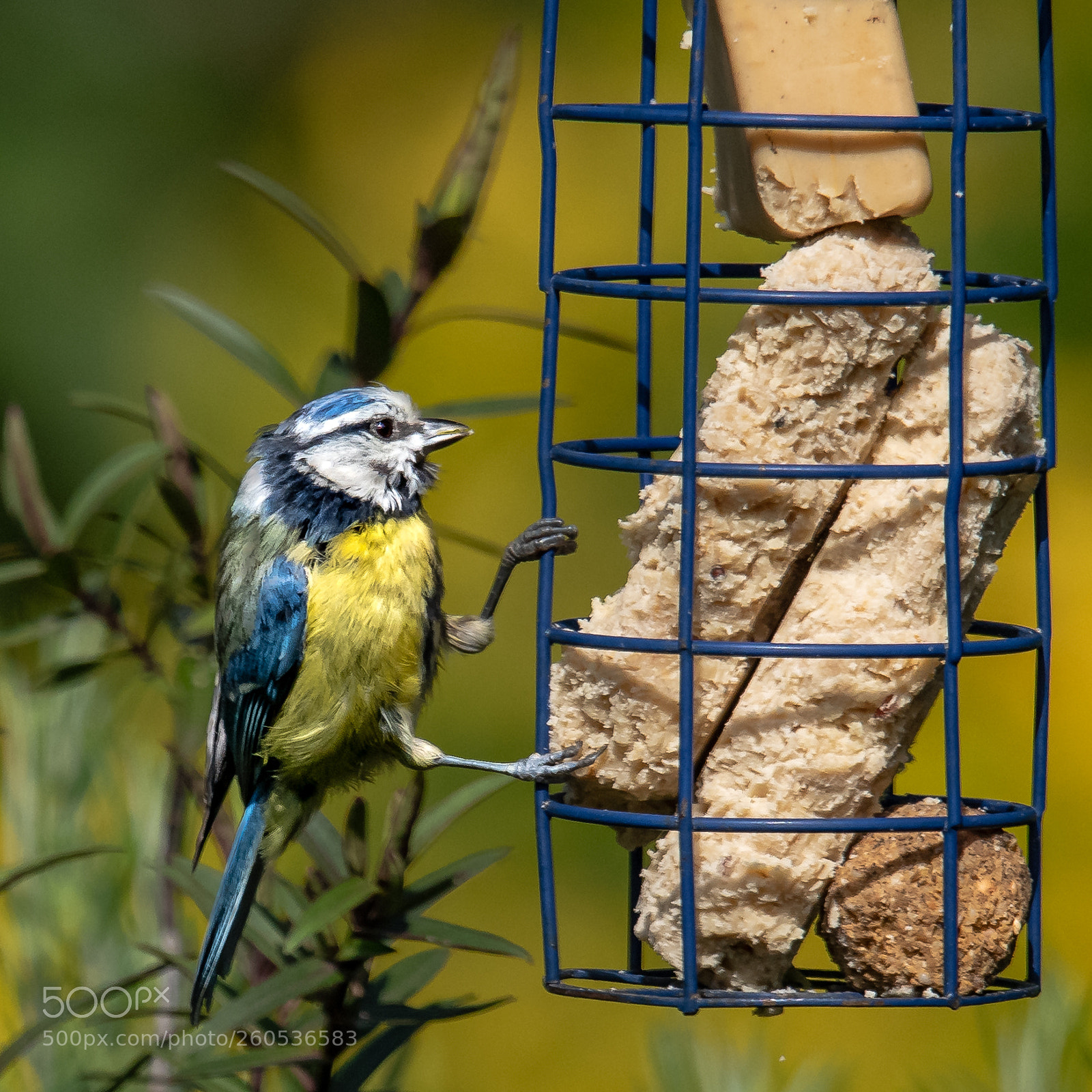 Nikon D850 sample photo. Selection box photography