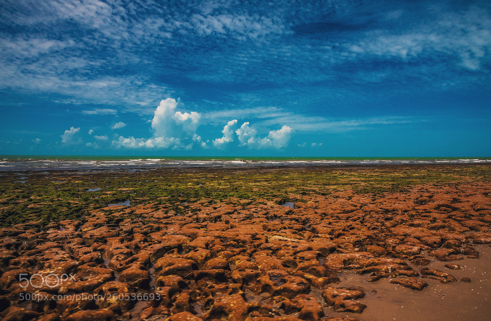 Nikon D750 sample photo. Colors photography