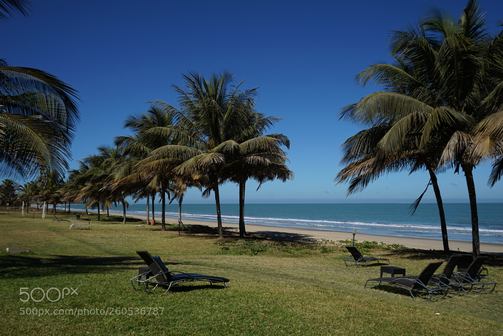 Sony a7 II sample photo. Gambia in winter photography