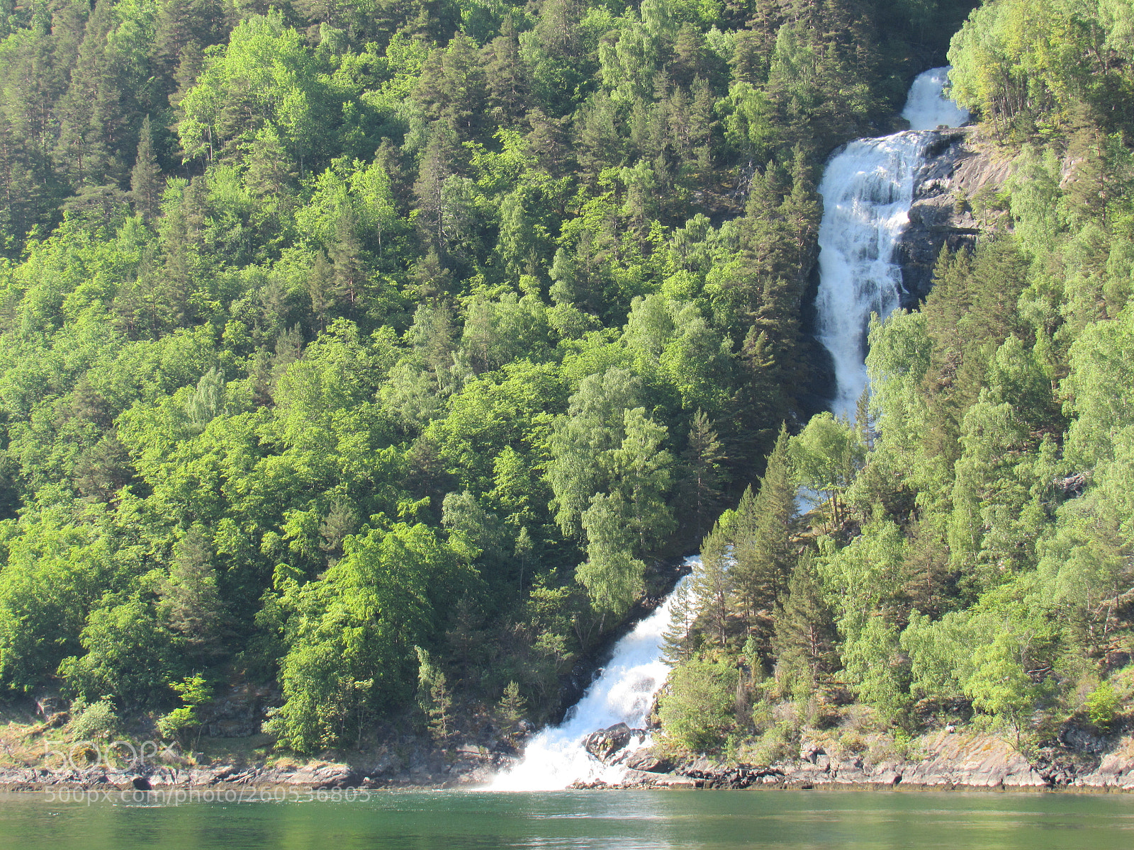 Canon PowerShot SX530 HS sample photo. Img photography