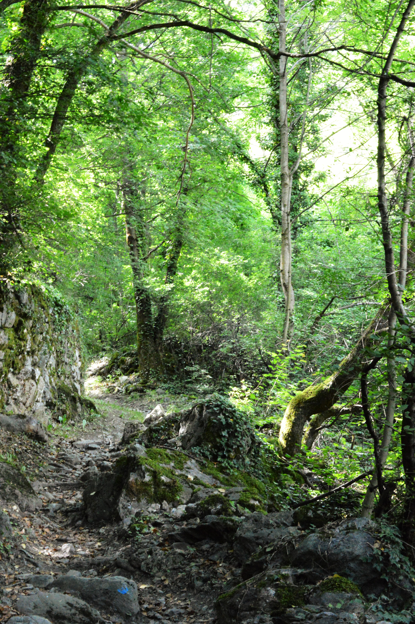 Nikon D3200 sample photo