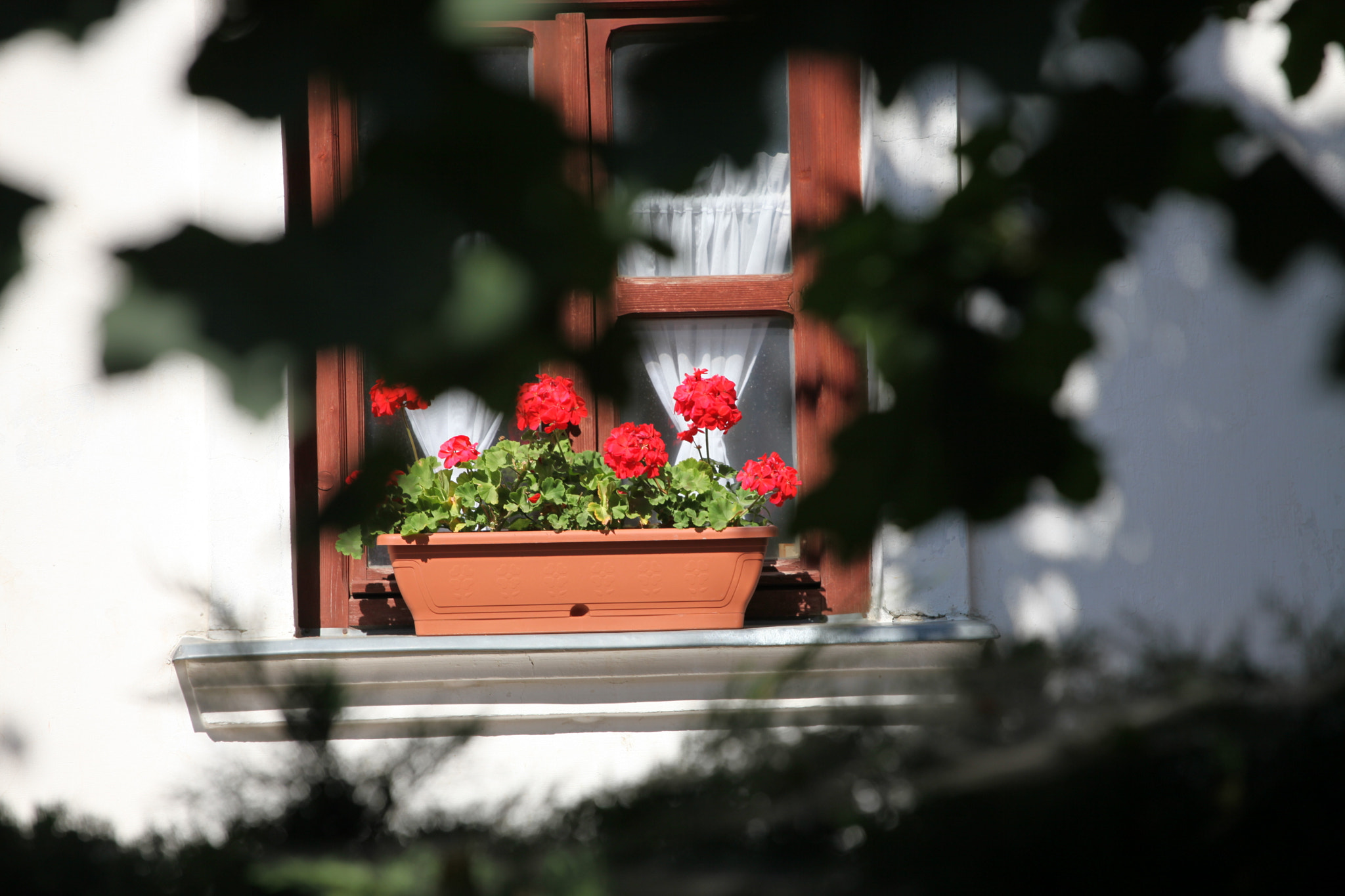 Canon EF 70-200mm F4L USM sample photo. Veresegyház photography