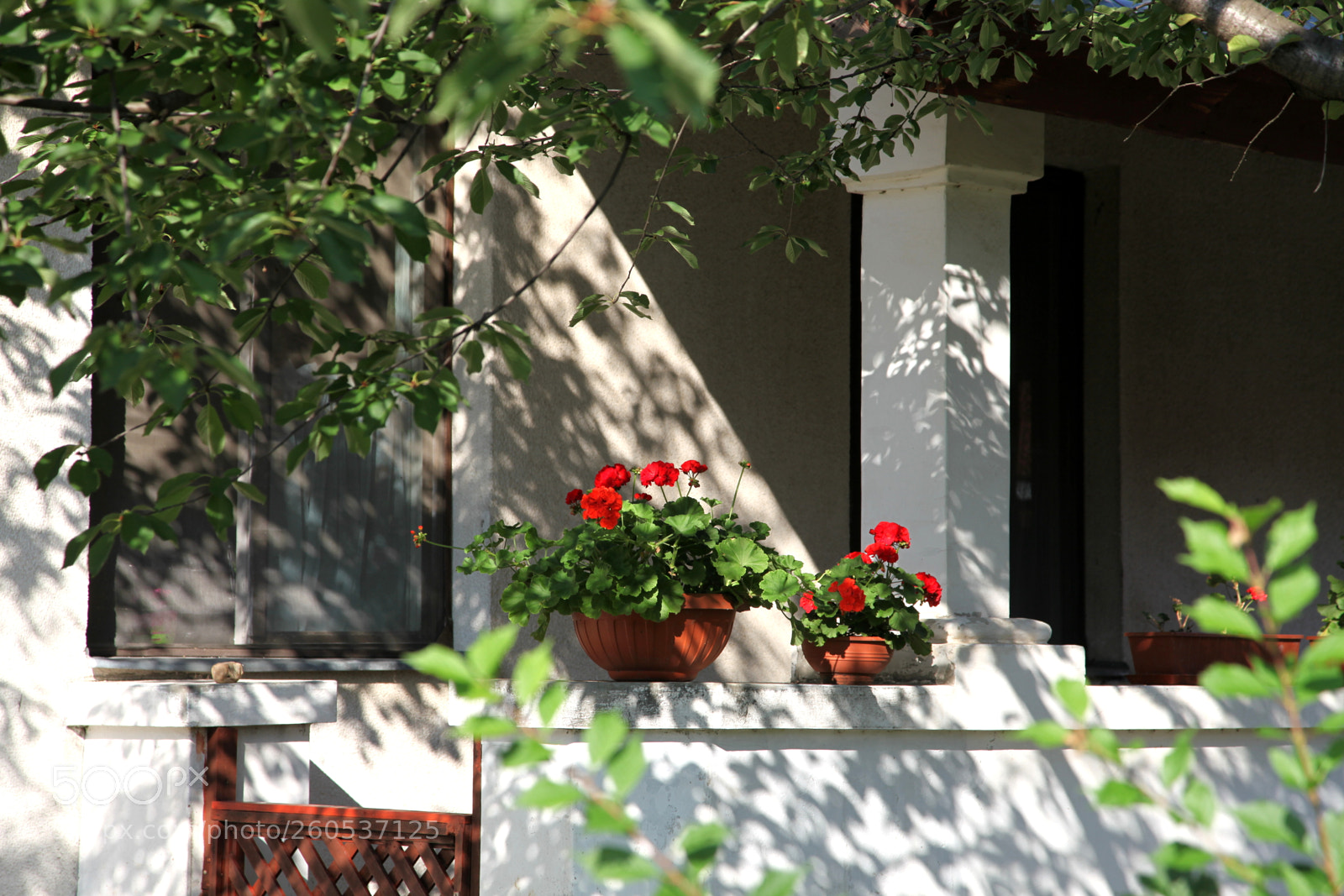 Canon EF 24-105mm F4L IS USM sample photo. Veresegyház photography