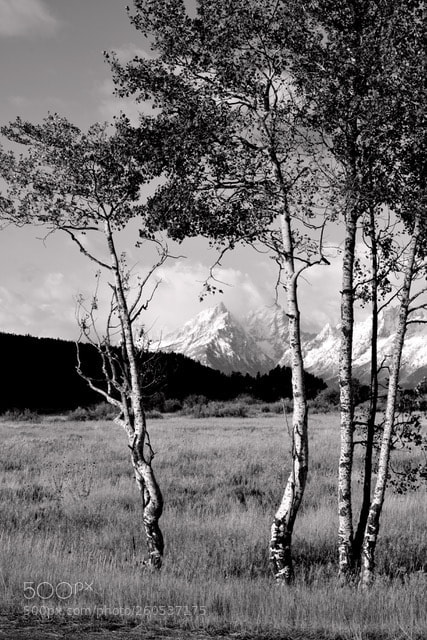 Nikon D810 sample photo. Mountain glimpse photography
