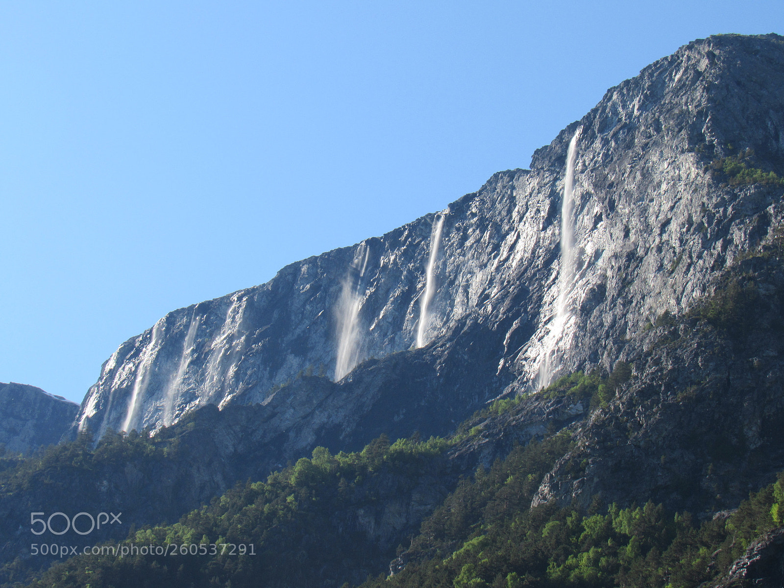 Canon PowerShot SX530 HS sample photo. Img photography