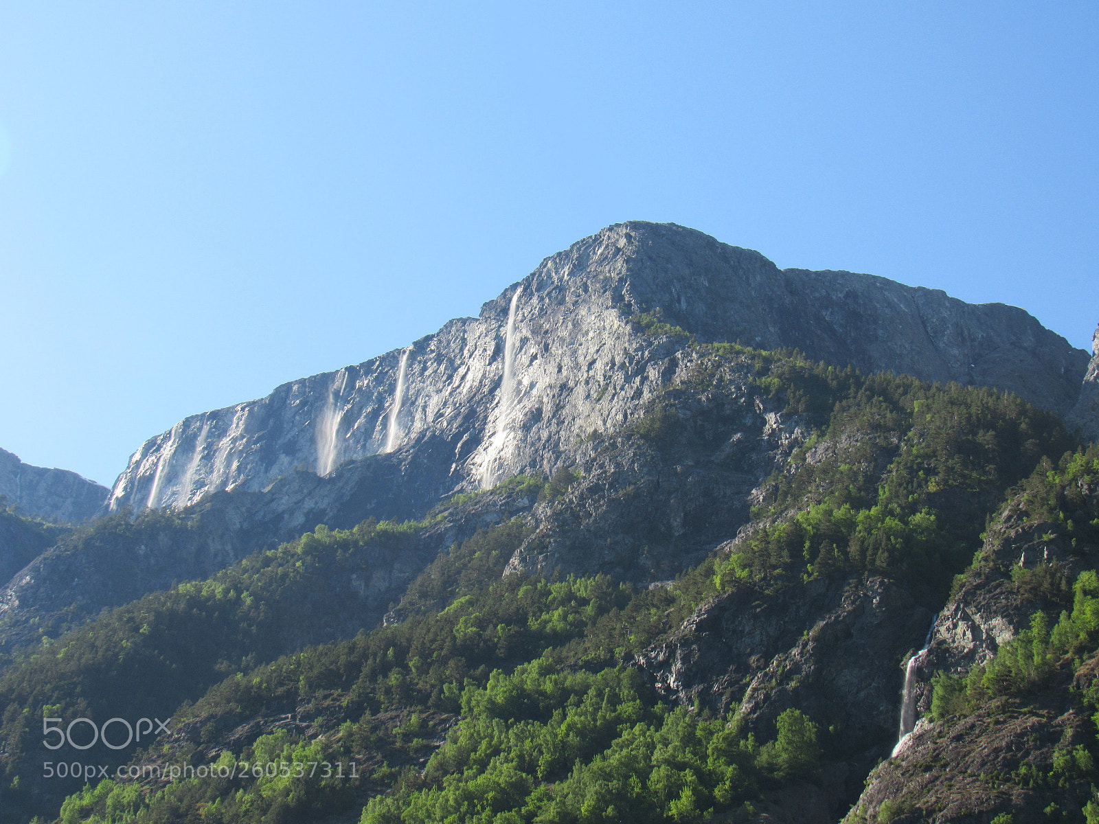 Canon PowerShot SX530 HS sample photo. Img photography