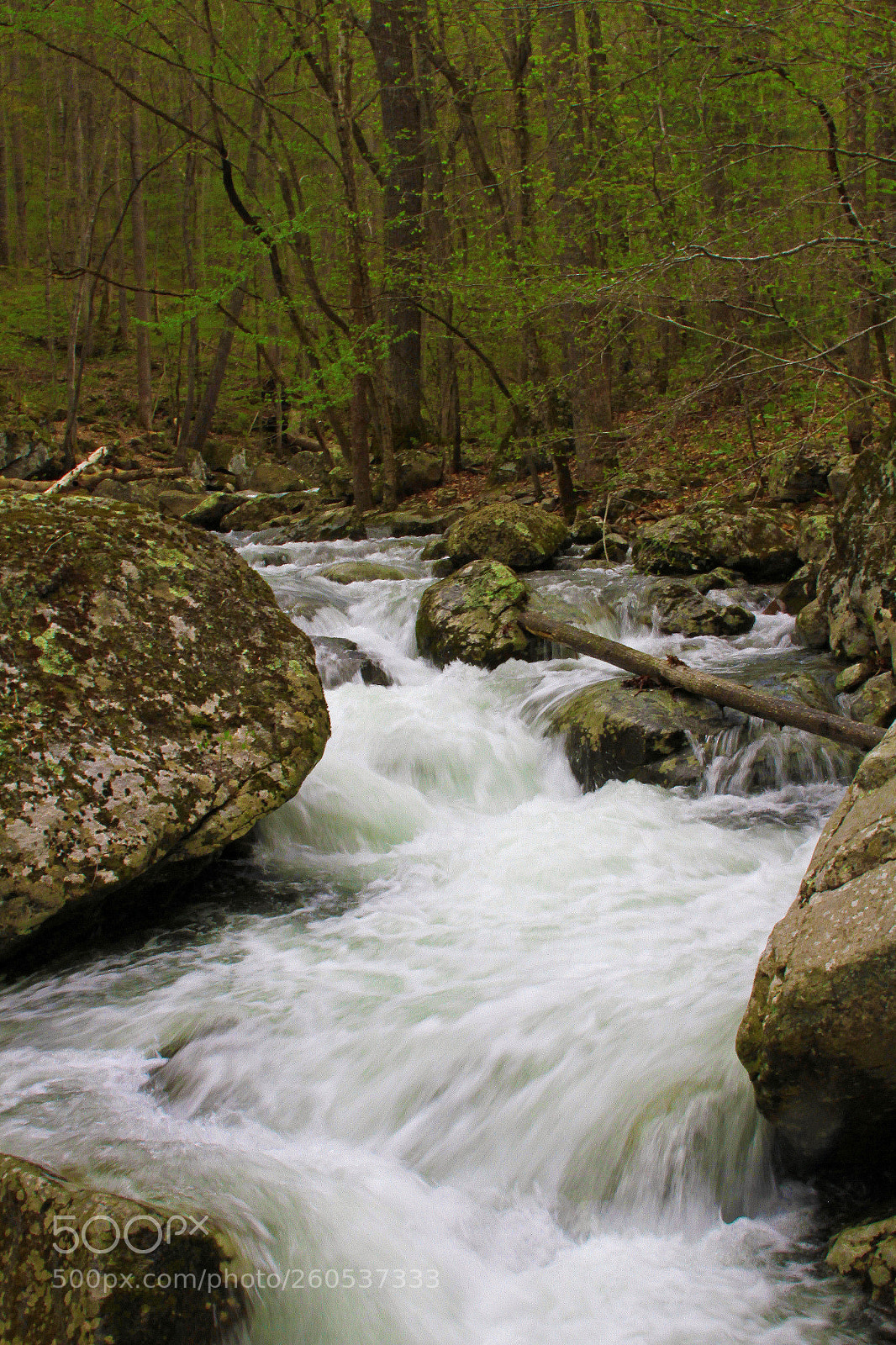 Canon EOS 7D sample photo. Spring cascading photography