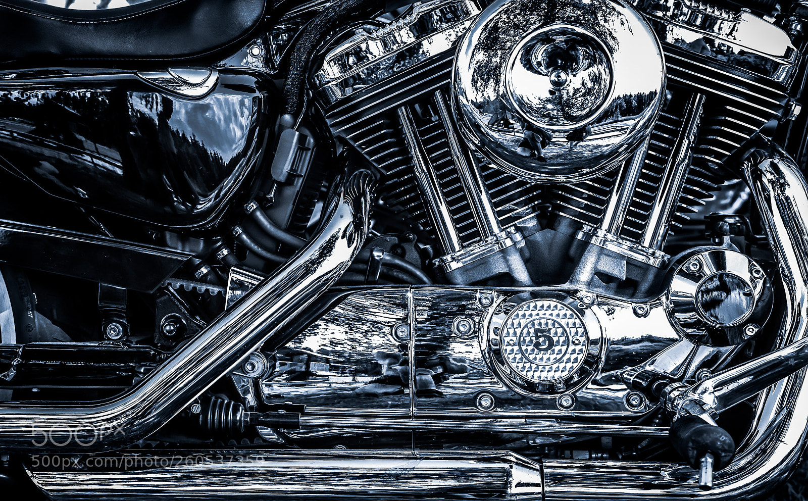 Nikon D5200 sample photo. Shiny photography