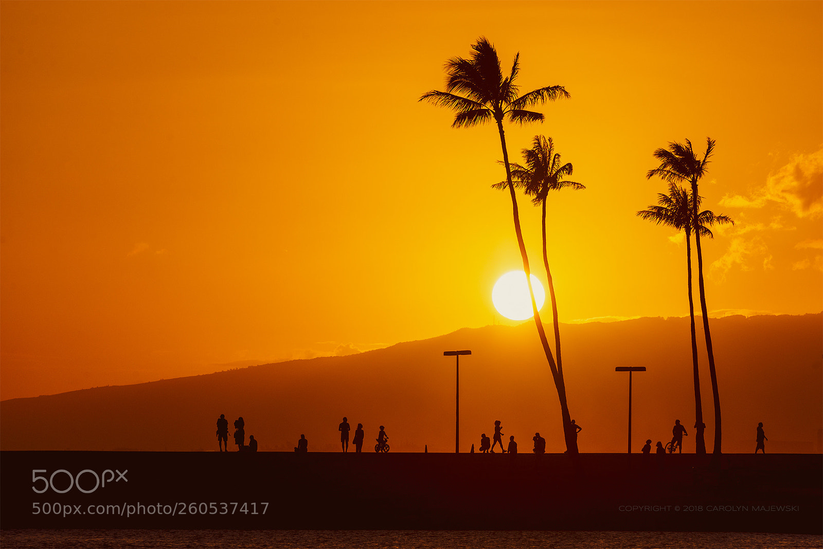 Nikon D610 sample photo. Silhouette photography