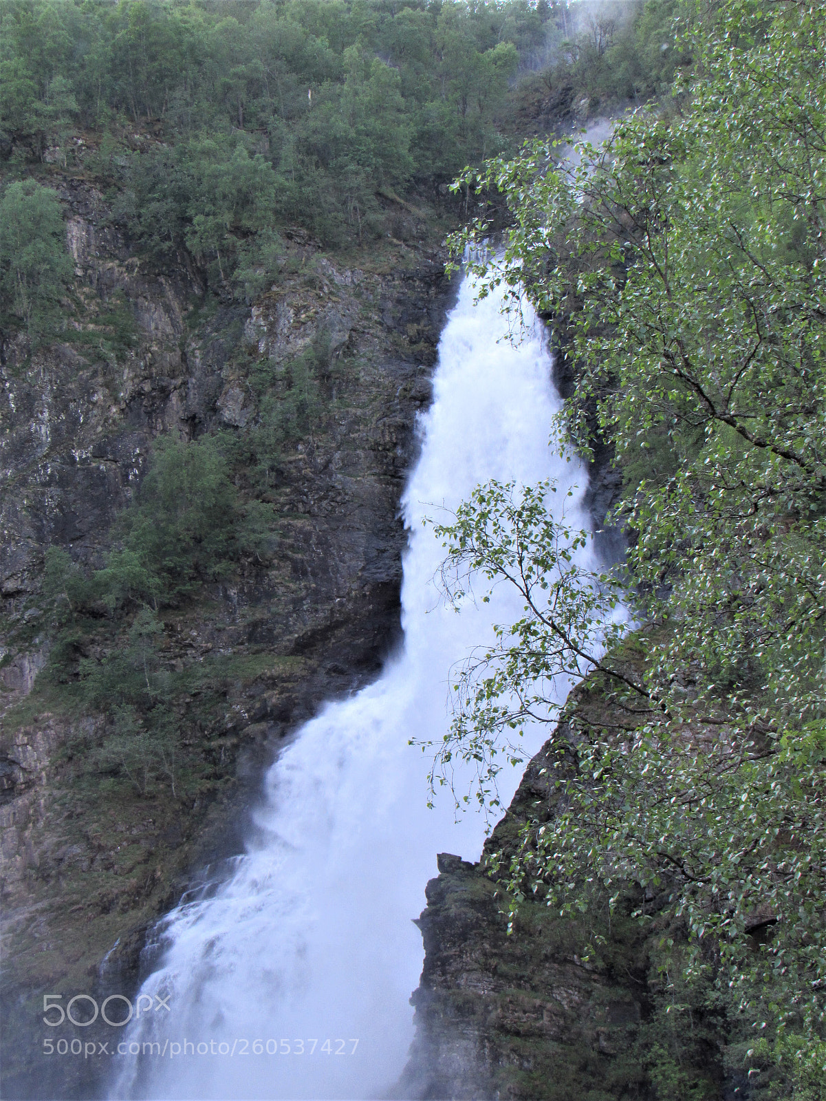 Canon PowerShot SX530 HS sample photo. Img photography