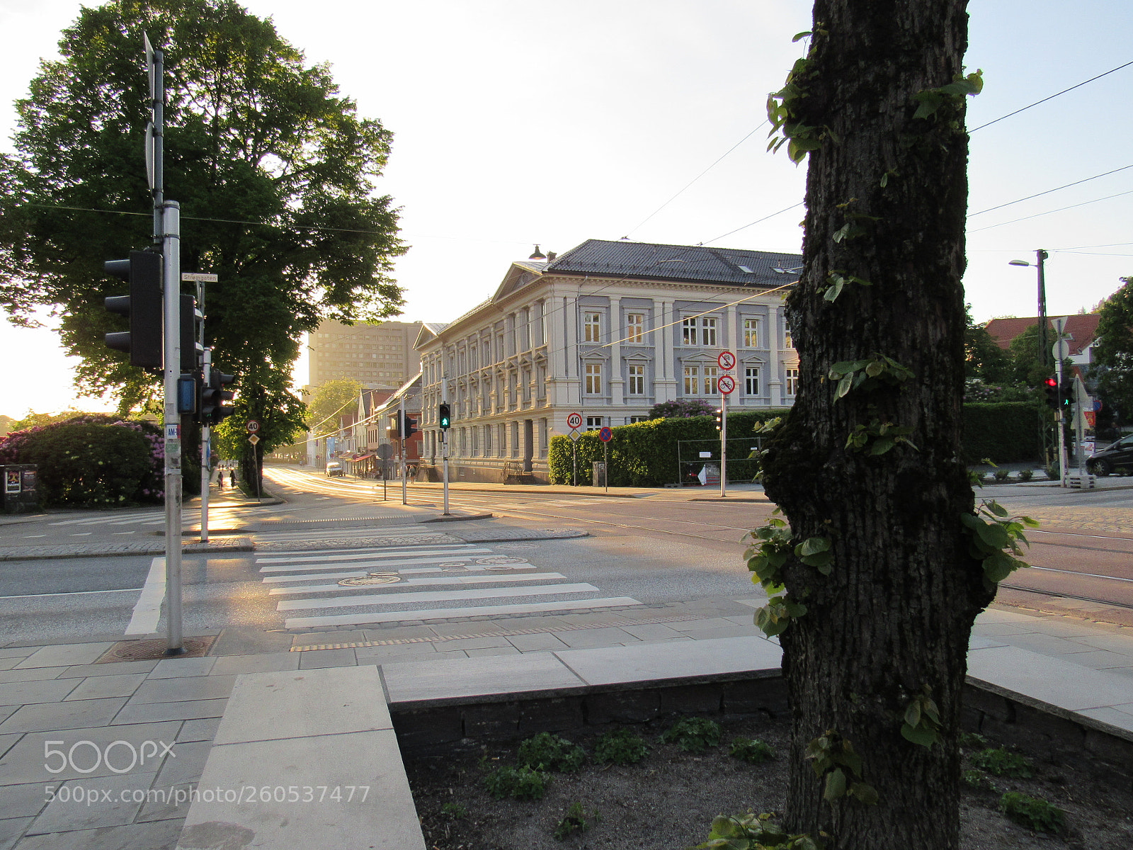 Canon PowerShot SX530 HS sample photo. Img photography