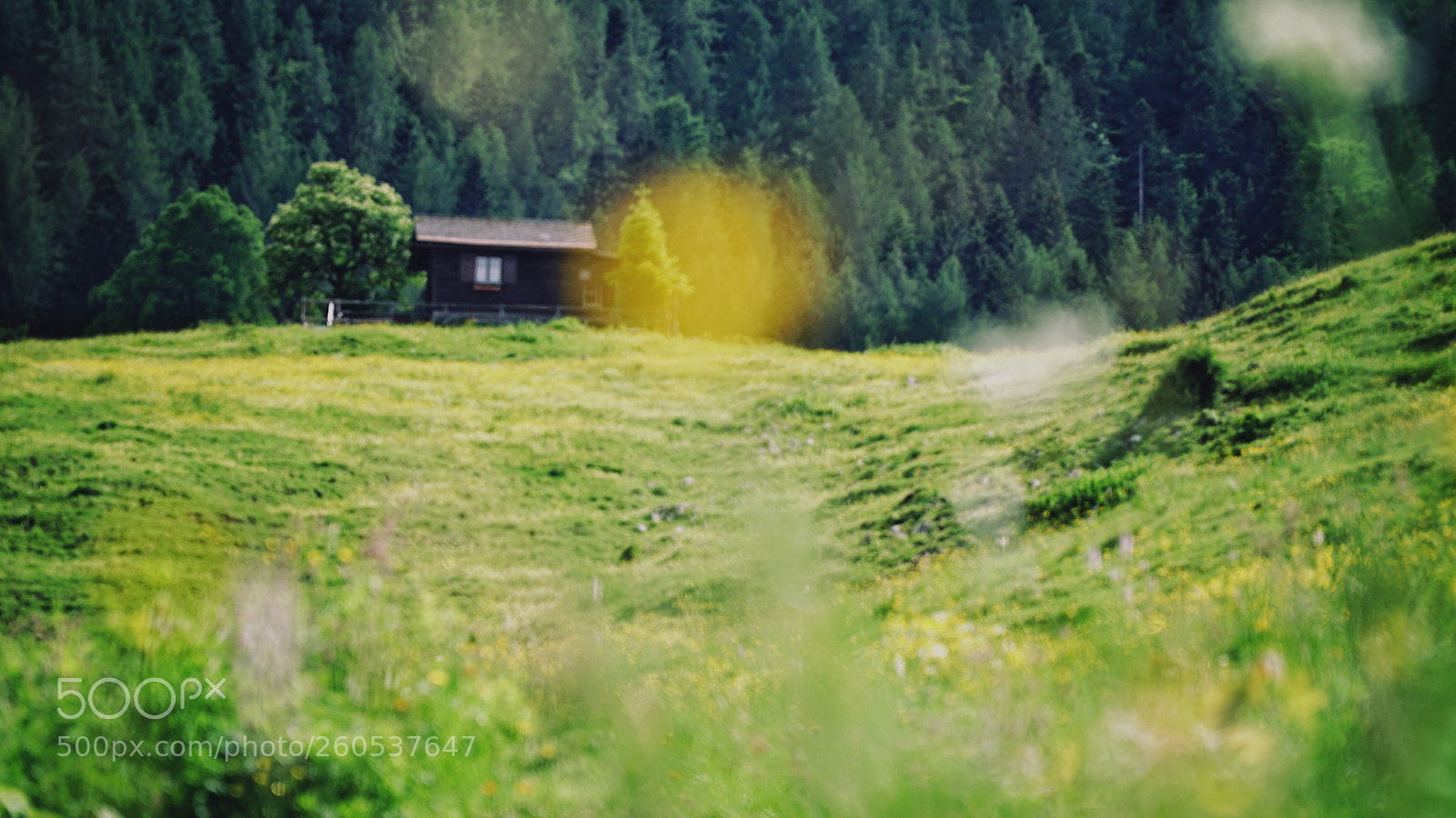 Sony a6300 sample photo. Cottage. photography
